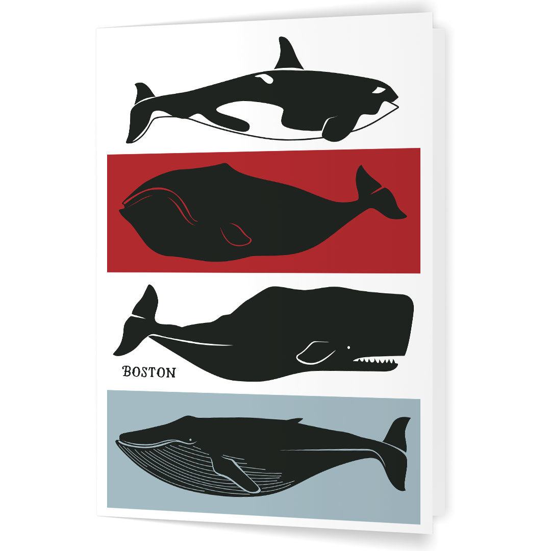 Boston Whales Print