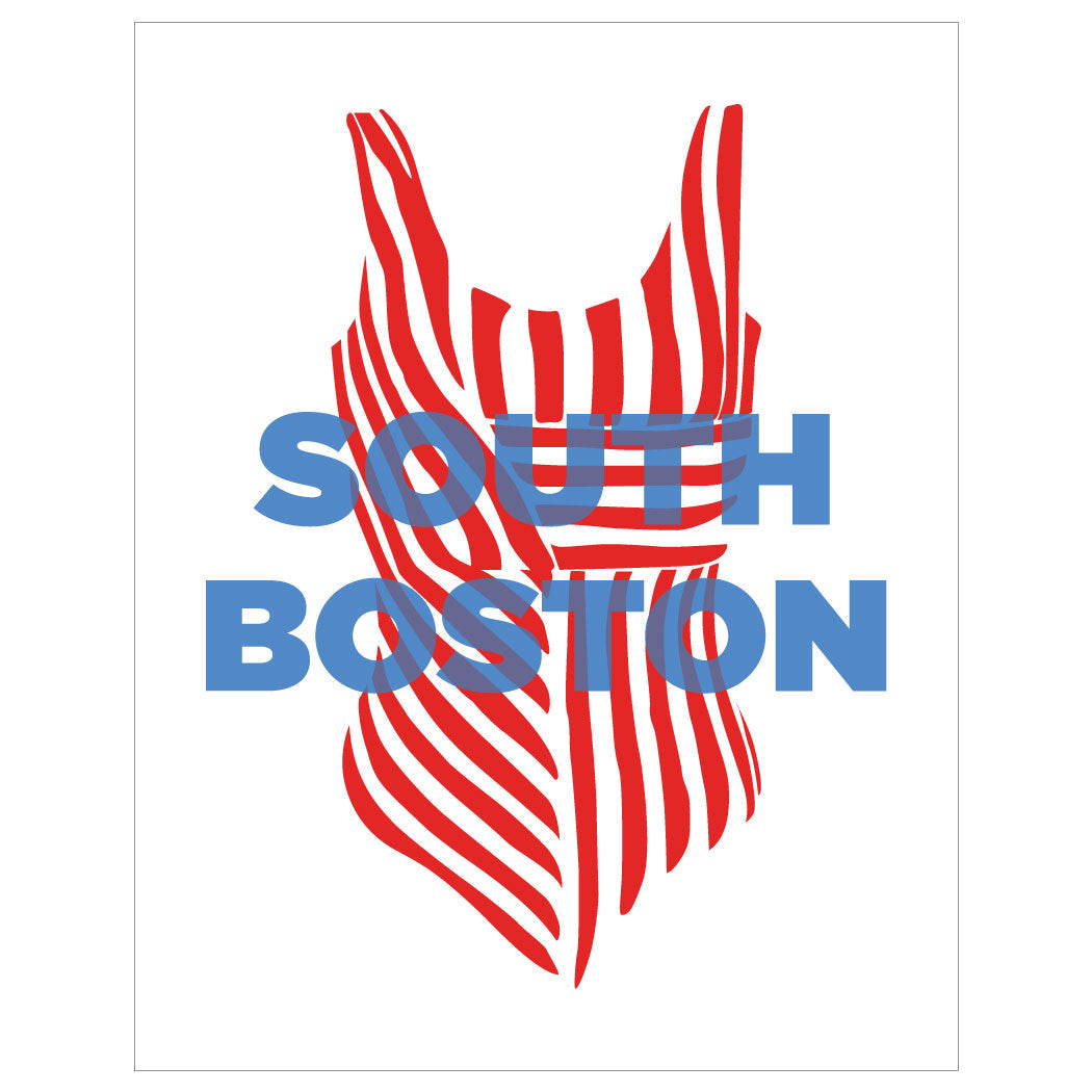 South Boston Beaches Bathing Suit Prints