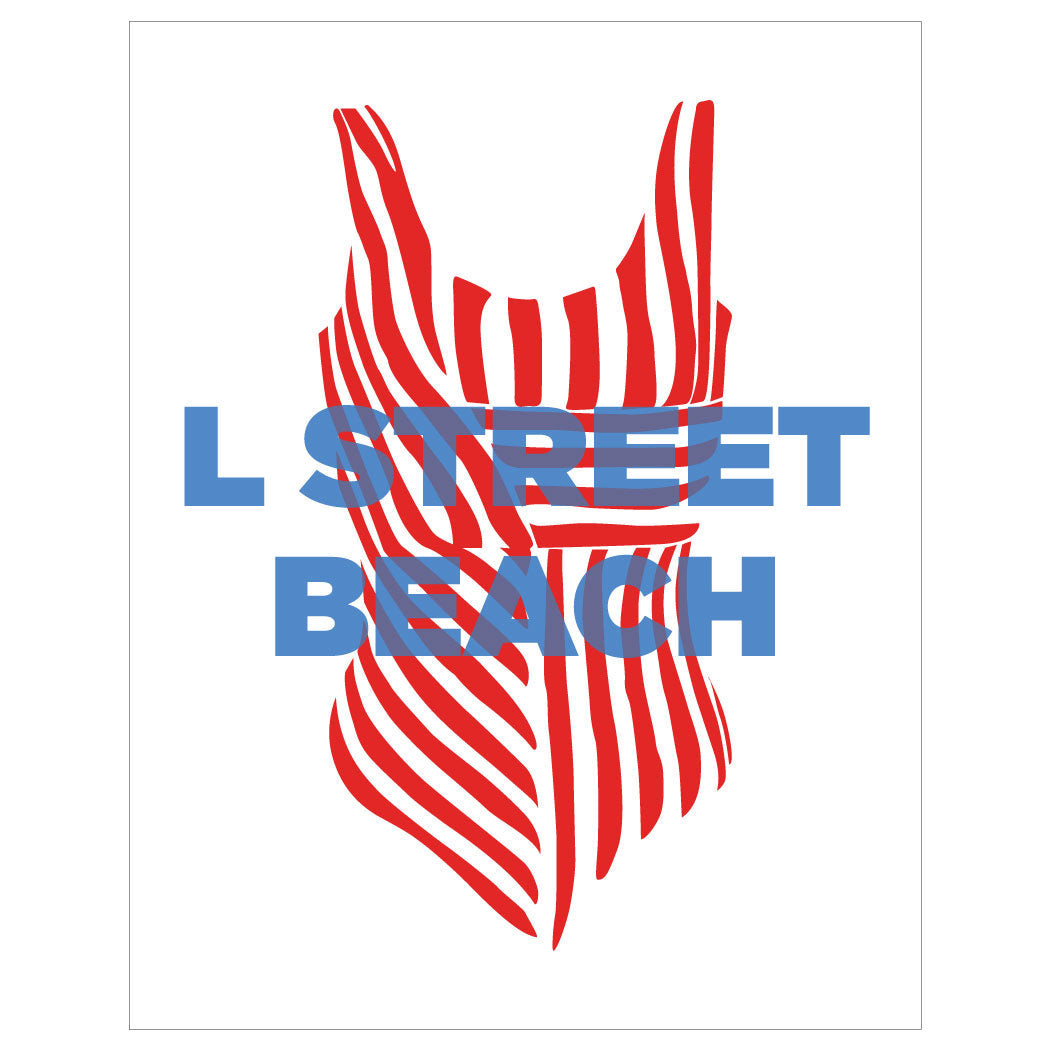 South Boston Beaches Bathing Suit Prints