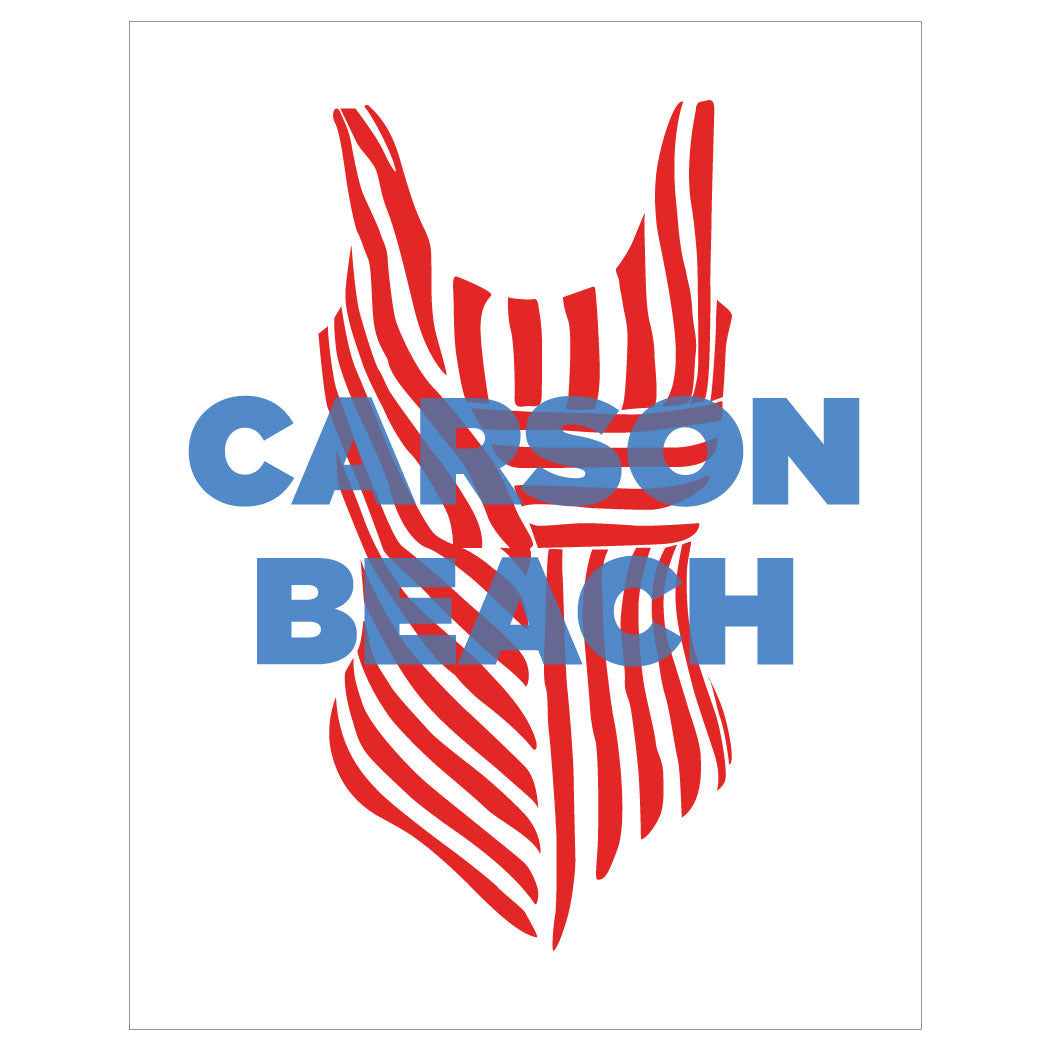 South Boston Beaches Bathing Suit Prints