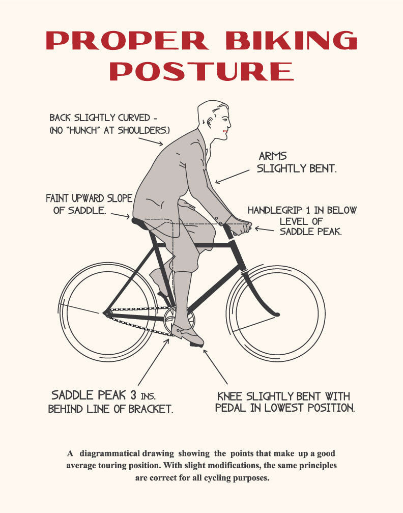 Proper Biking Posture Print