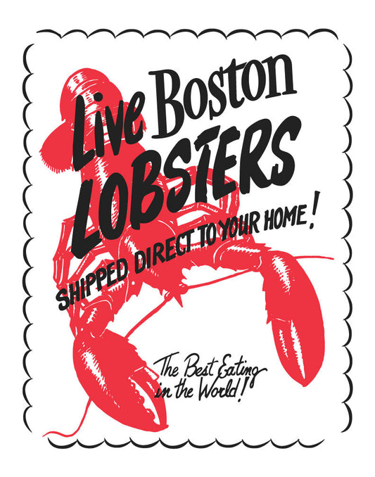 Live Boston Lobsters Print