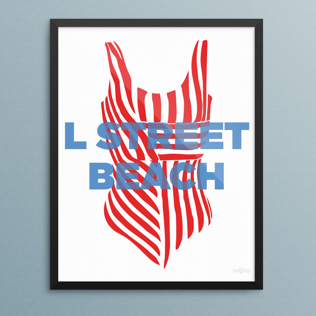 South Boston Beaches Bathing Suit Prints