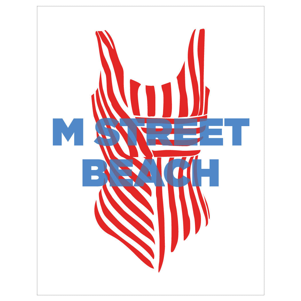South Boston Beaches Bathing Suit Prints
