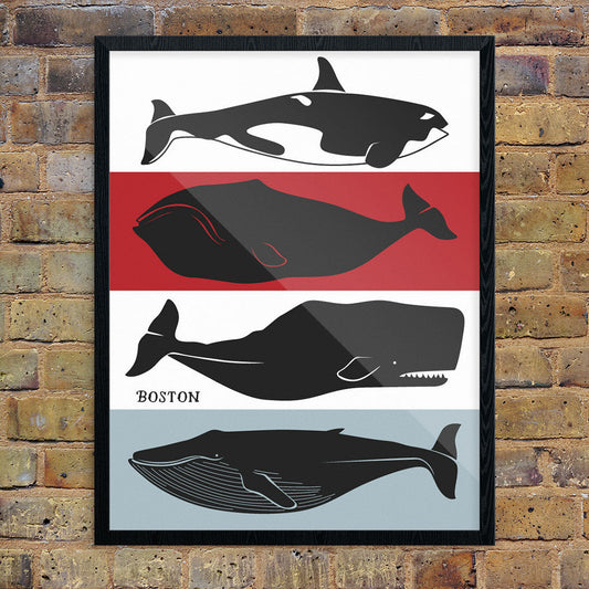 Boston Whales Print